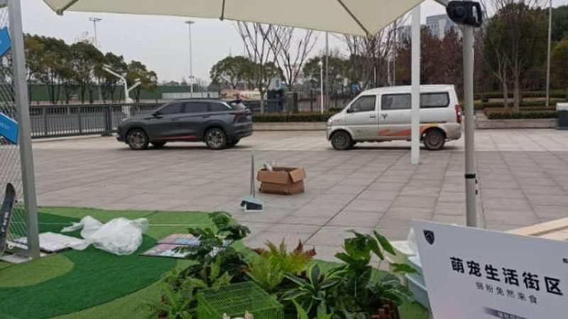 广告设计规范：揭秘印刷要求的五大关键点